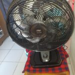 Foto da avaliação